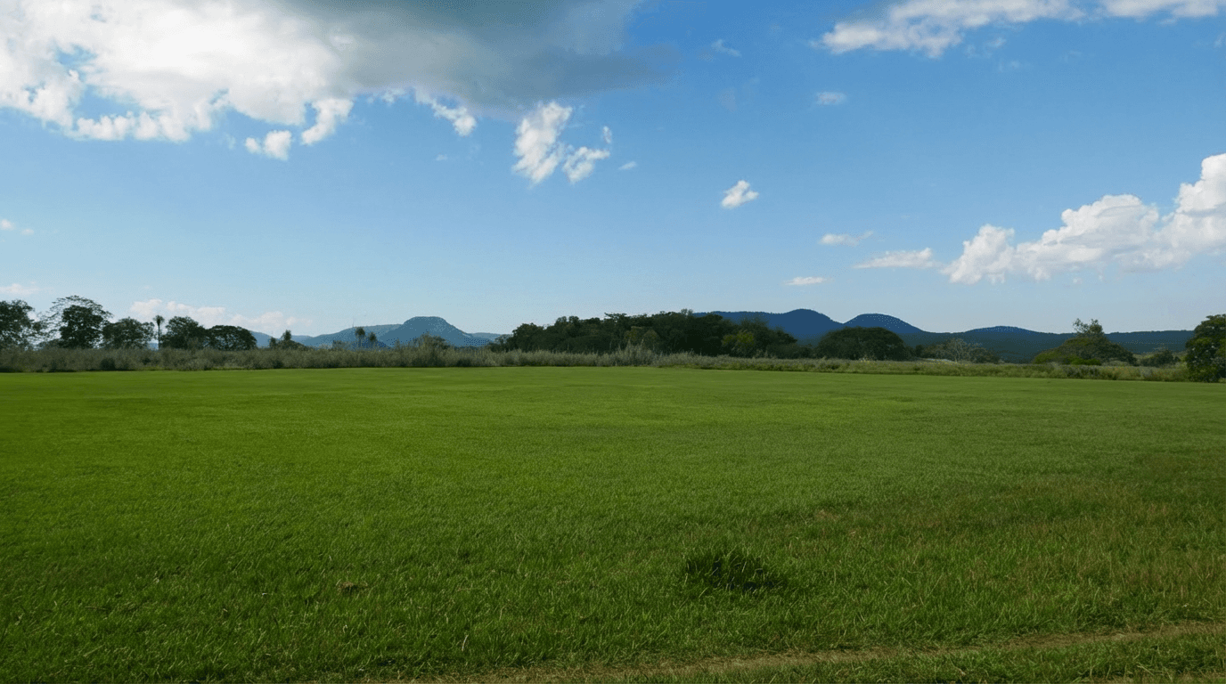 Unbebautes Grundstück